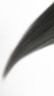 5006_big